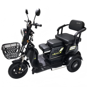 Xe ba bánh điện BODO-SL006