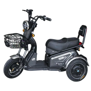 Xe ba bánh điện BODO-SL007