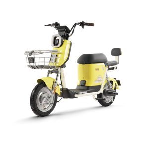 BODO-GA50 electric bike