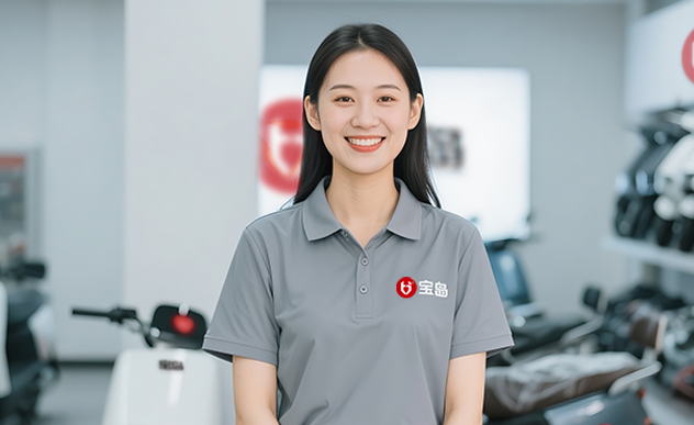 electric bike global partner support services