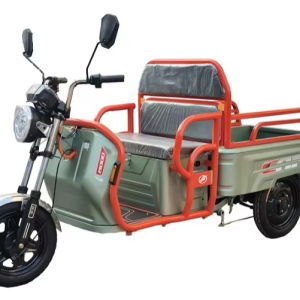 Xe ba bánh điện BODO-SL003