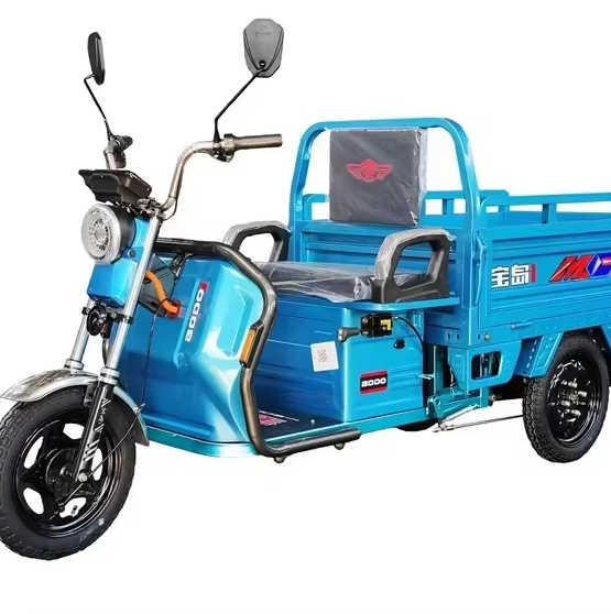 Xe ba bánh điện BODO-SL005 1 Xe ba bánh điện BODO-SL005