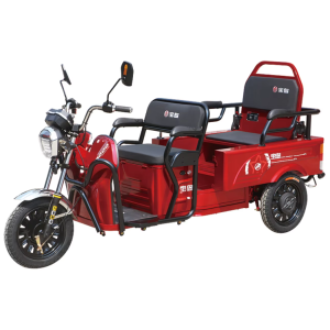 Xe ba bánh điện BODO-SL009