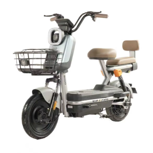 BODO-GH8 Electric Bike