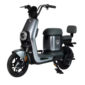 Xe đạp điện BODO-GM11