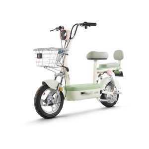 BODO-GM01 electric bike