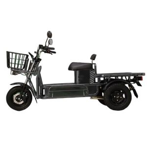 heavy-duty cargo e-bike, 60V 72V electric motorcycle, lead-acid battery cargo bike, dual disc brake cargo motorcycle