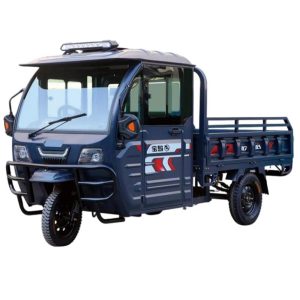 Xe ba bánh điện BODO-SL010
